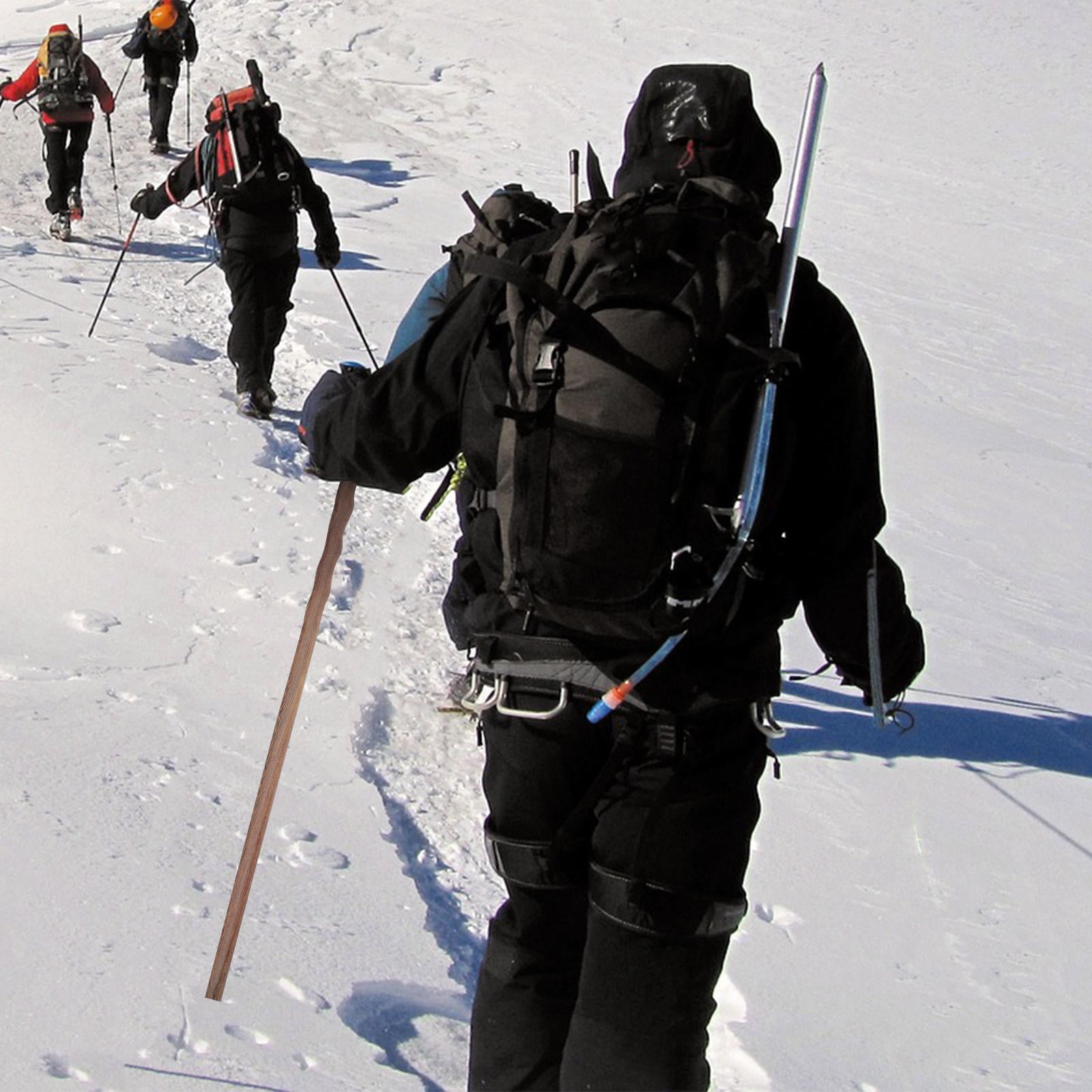 1Pack Trekking Poles High Quality Wood Firm Grip for Men and Women Mountaineering Aid - Image 5